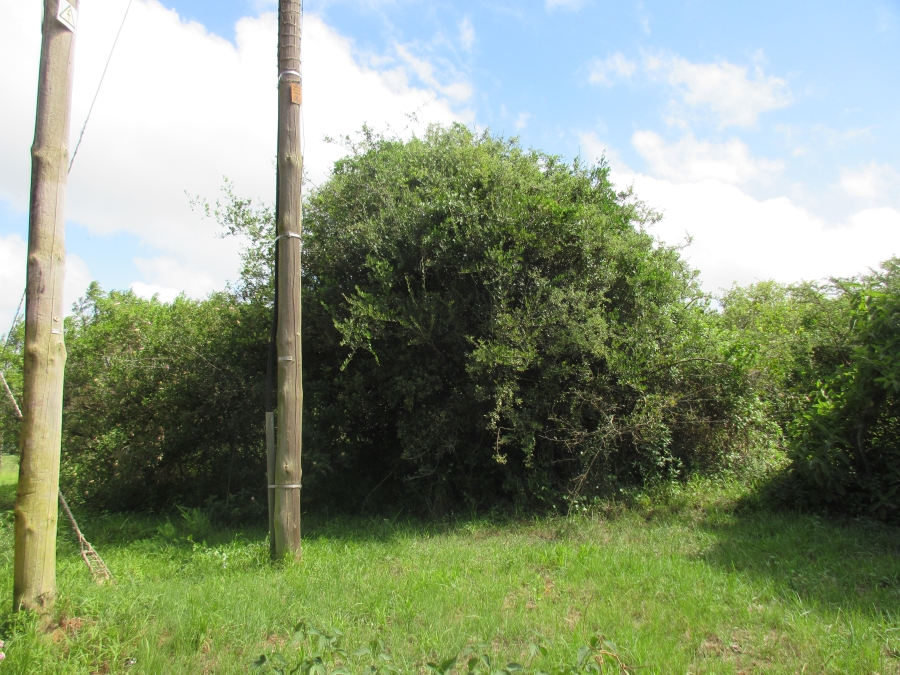 0 Bedroom Property for Sale in Bathurst Eastern Cape